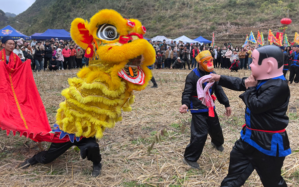 活動現(xiàn)場。何彪攝